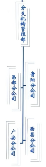 公司分支機構圖.png