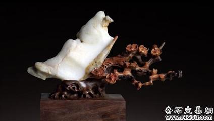 韓國石友首次亮相銀川賞石旅游節，助力石材文化交流與市場拓展