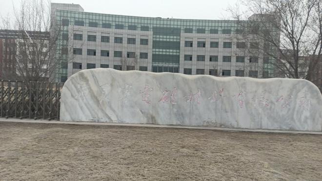 從硅材料工廠到尋常商品 拍賣市場的價(jià)格博弈與價(jià)值重塑